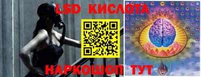 дмт Кингисепп