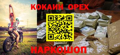 дмт Кингисепп