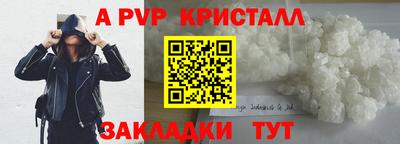 дмт Кингисепп