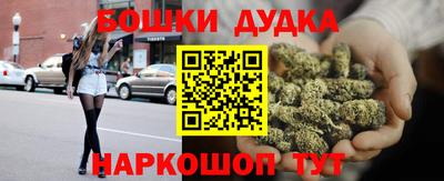 дмт Кингисепп