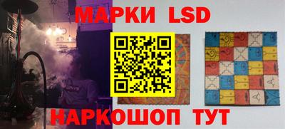 дмт Кингисепп