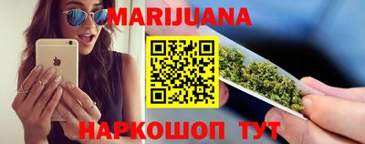 дмт Кингисепп