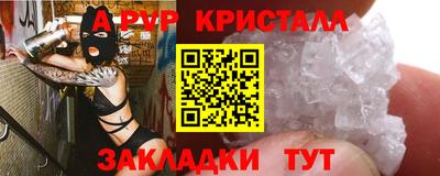 дмт Кингисепп