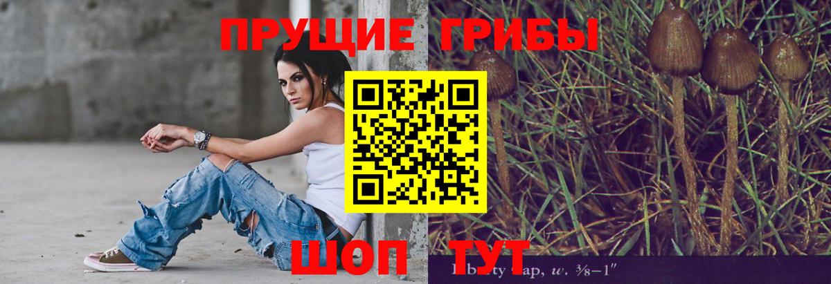 Галлюциногенные грибы мухоморы  Вход с VPN  Коркино  Галлюциногенные грибы Psilocybine cubensis 