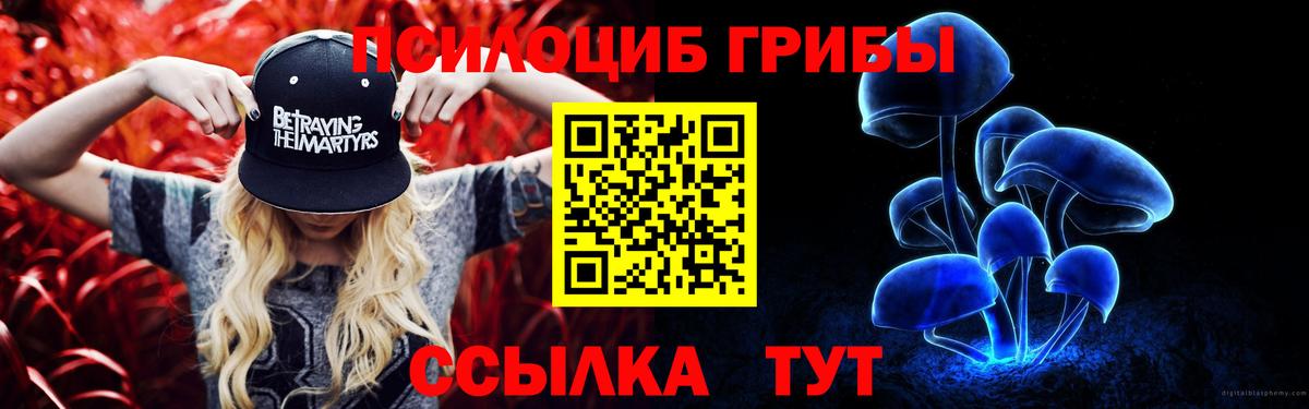 Галлюциногенные грибы Psilocybe Коркино